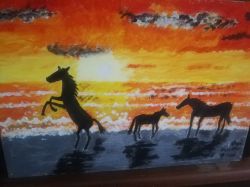 Cavalli al tramonto 