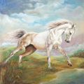 "Il cavallo bianco"