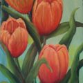 tulipani al sole