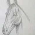Arte di un Cavallo