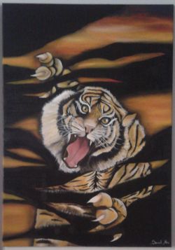 graffi di tigre