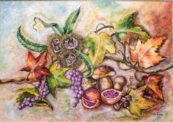 frutta e colori d, autunno