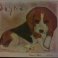 Ritratto Beagle