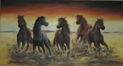 cavalli al tramonto