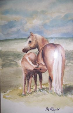 cavallo e puledro