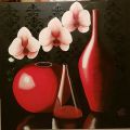 Orchidee red