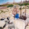 Pecore all' Abbeveratoio