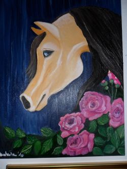 cavallo tra le rose