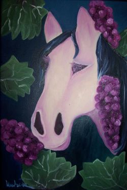 il cavallo rosa..cavallo goloso