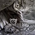 mamma tigre