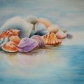 Seashells in watercolor