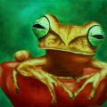 tomato frog