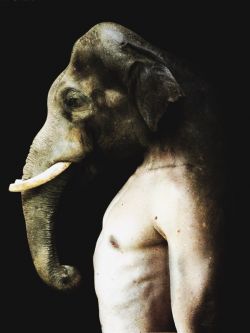 elephant man 001
