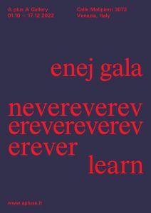 Enej gala - nevereverevereverevereverever learn
